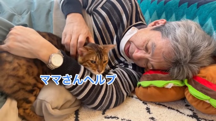 寝ている人に抱っこされる猫