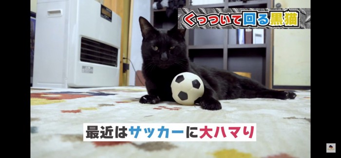 サッカー？