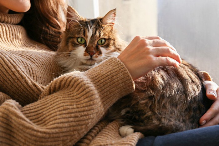 飼い主と猫