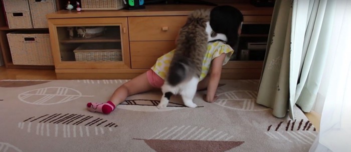 寝転んでいる子どもに飛びつく猫