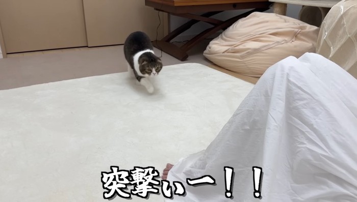 突撃ぃー!!