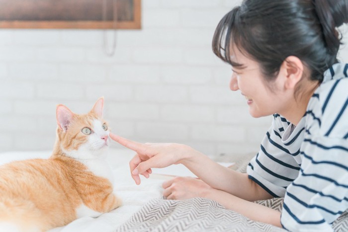 ベッドの上の猫と女性