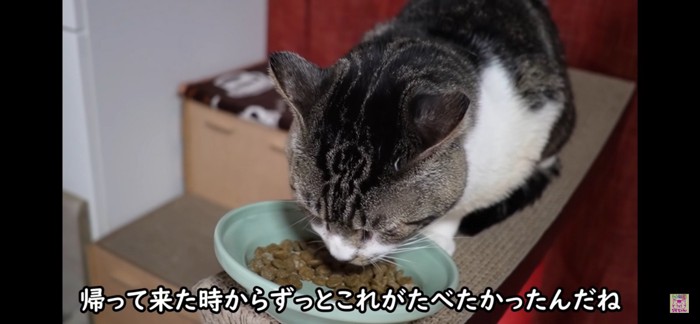 食べる