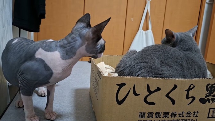 背を向けて