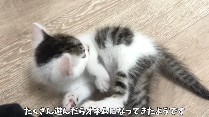 眠くなってきた坊ちゃん