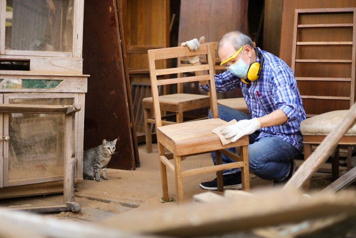 大工仕事をする飼い主を見つめる猫