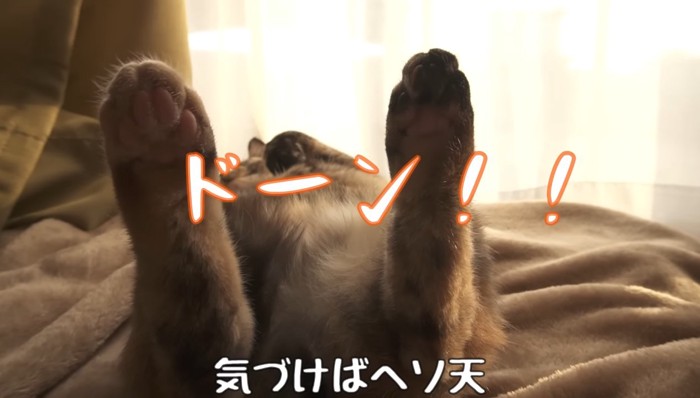 ドーン!!