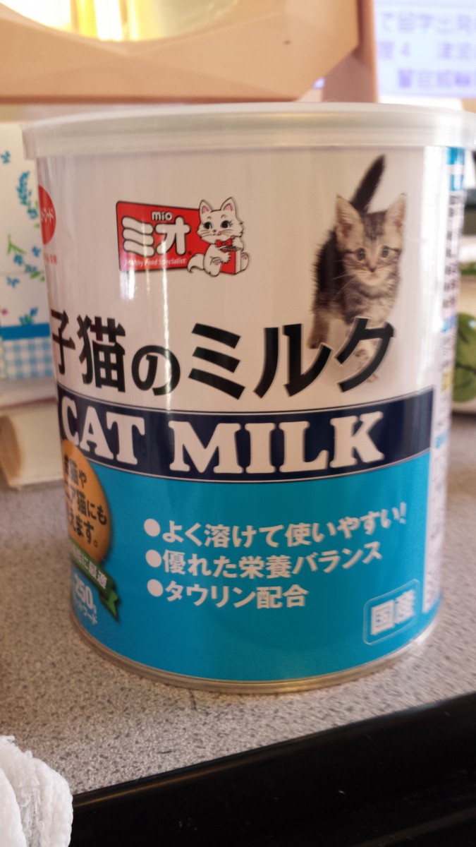 子猫用ミルク