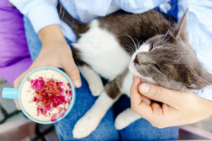 猫を膝にのせてコーヒーを楽しむ女性