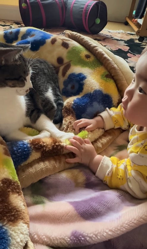 顔を上げているうつ伏せの赤ちゃんのそばにいる猫