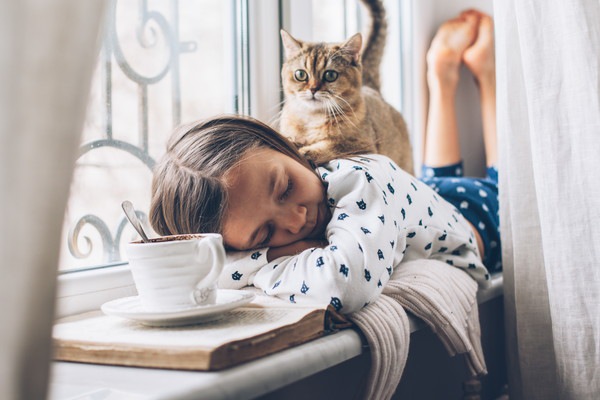 猫とルームウェアを着た女の子