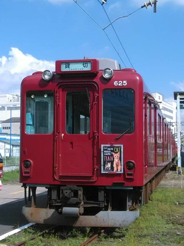 ねこカフェ列車