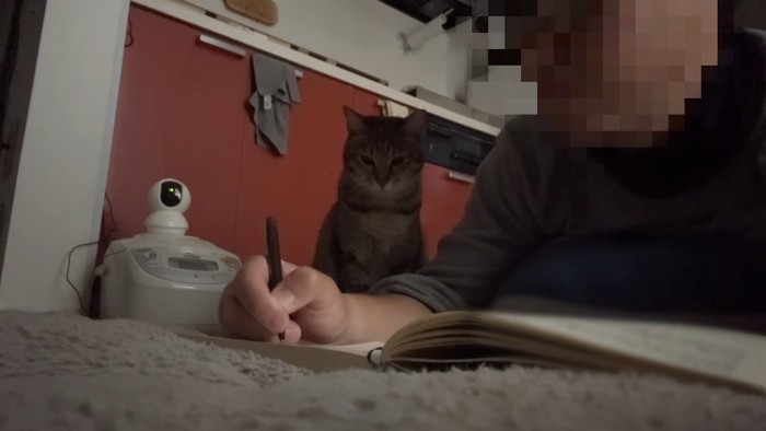 隣にお座り