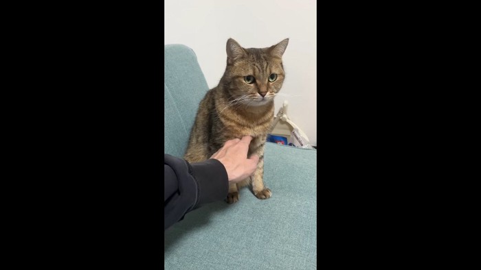 遠くを見つめた顔