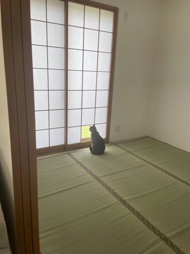 障子の前に座っている猫