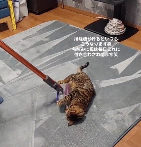 掃除機が近づく