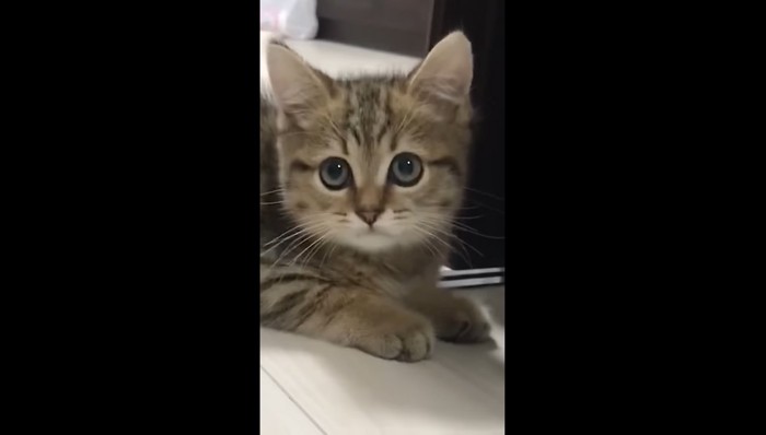 アップ