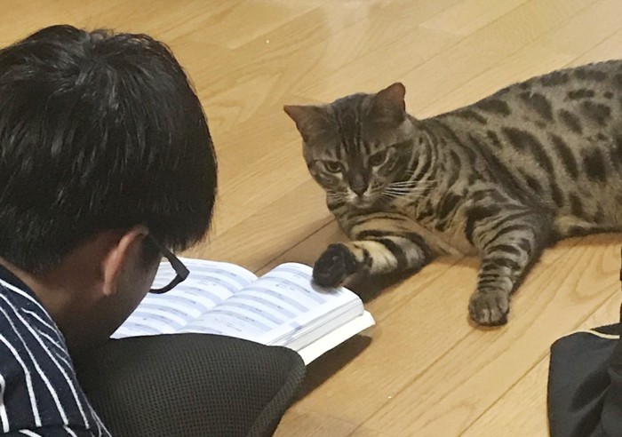 こむぎ