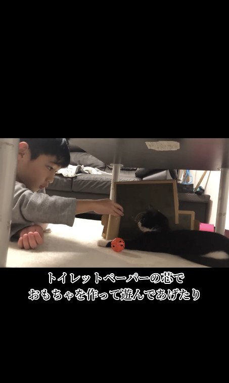 おもちゃで遊ぶ猫と子供