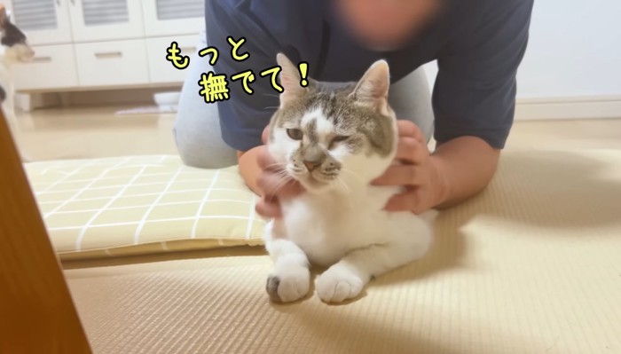 もっと撫でて!
