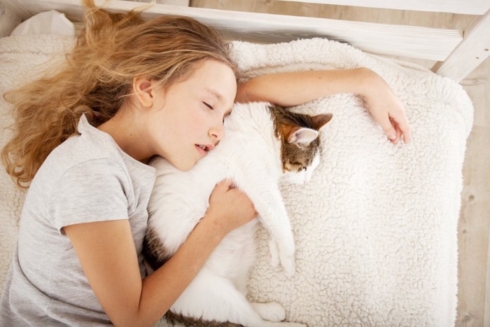 女の子と眠る猫