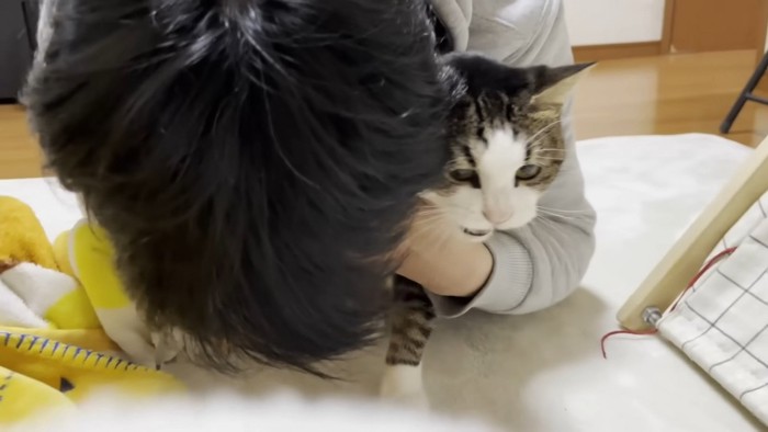 抱きしめられた猫が口を開けている様子