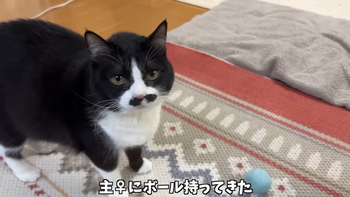 ボール持ってきた