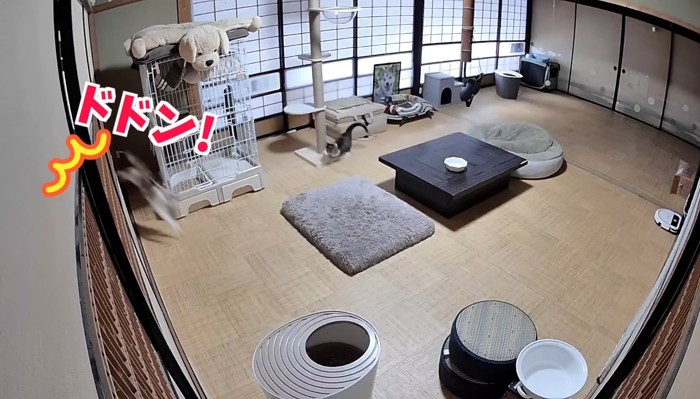 ドドン!