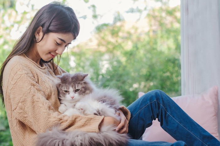 飼い主に甘える猫