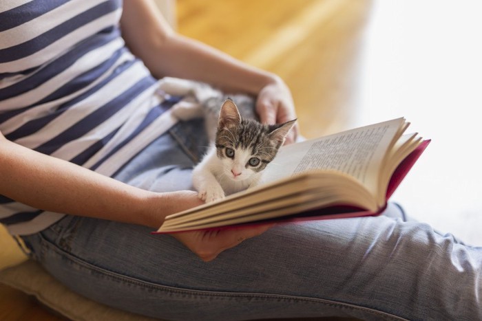 飼い主の足の間にいる猫