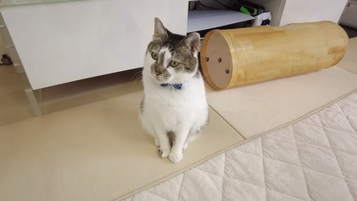 ささみくんの紹介