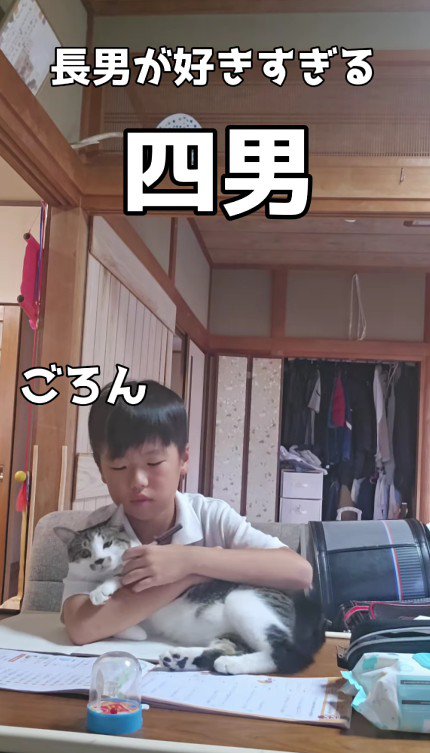 宿題をしている男の子と猫