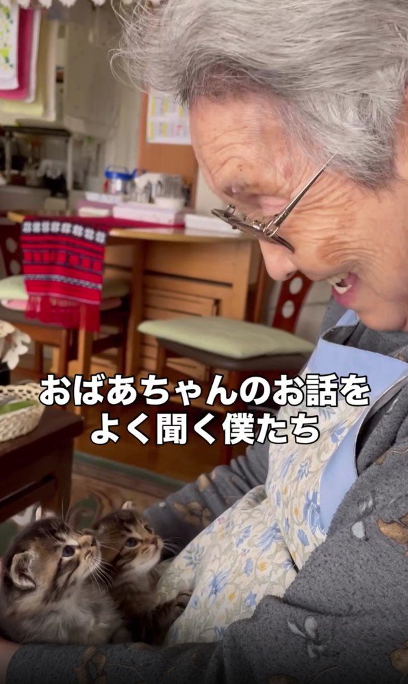 おばあちゃんと2匹の子猫