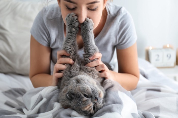 飼い主さんのスキンシップを拒否する猫