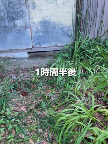 蔵の入口