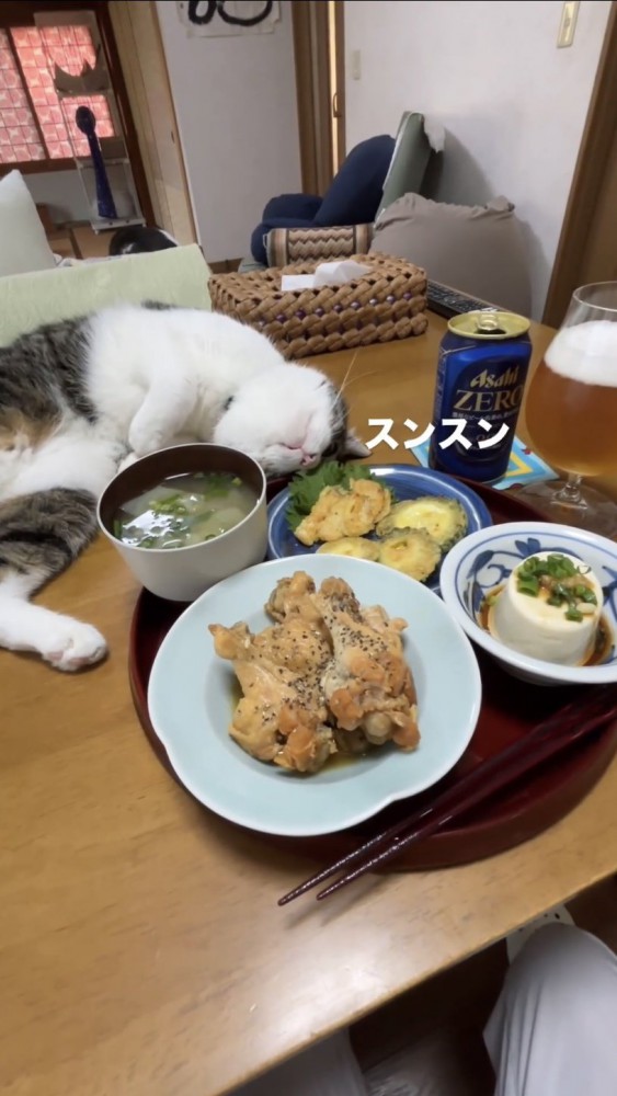 食卓で寝転がる猫