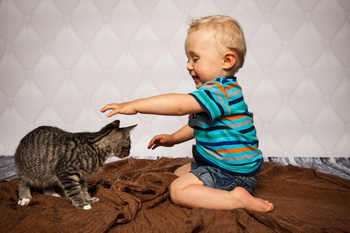 子供に構われる猫