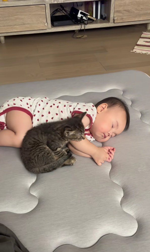 寝ている赤ちゃんと子猫