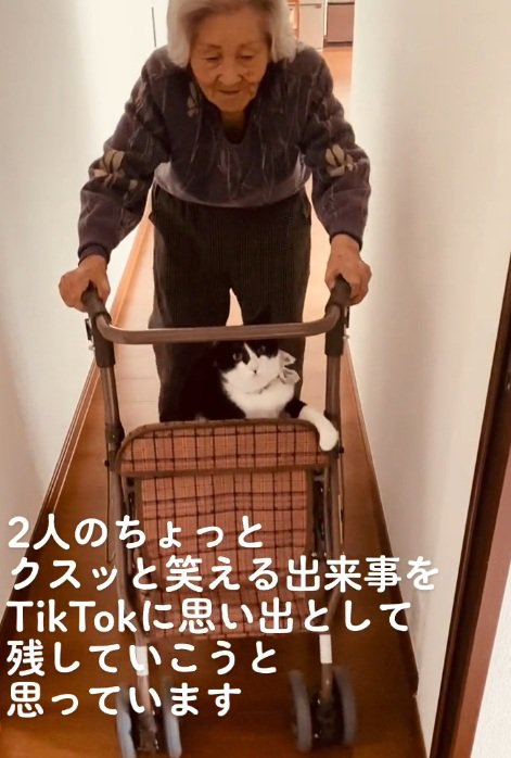 おばあちゃんとカートに乗る猫