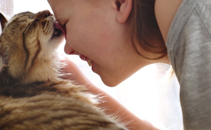女の子の顔を舐める猫