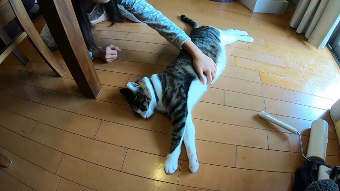 伸びているお腹を触って