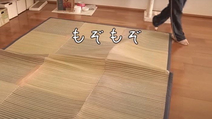 ゴザと下に隠れる猫