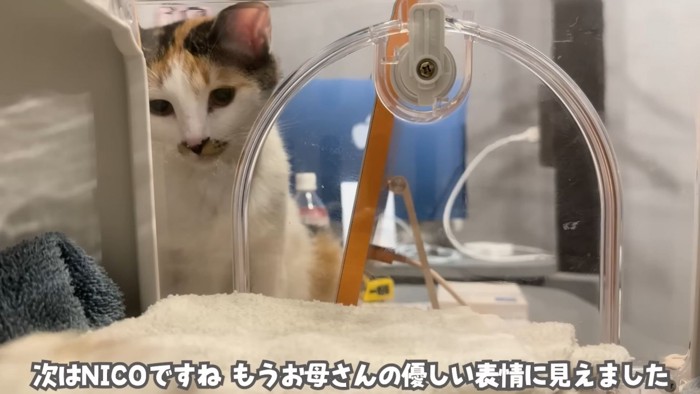 テロップ「次はNICOですね～」