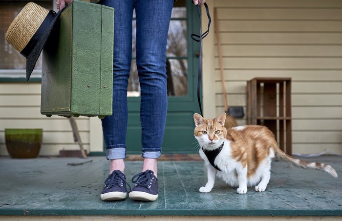 スーツケースを持った人とリードに繋がれた猫