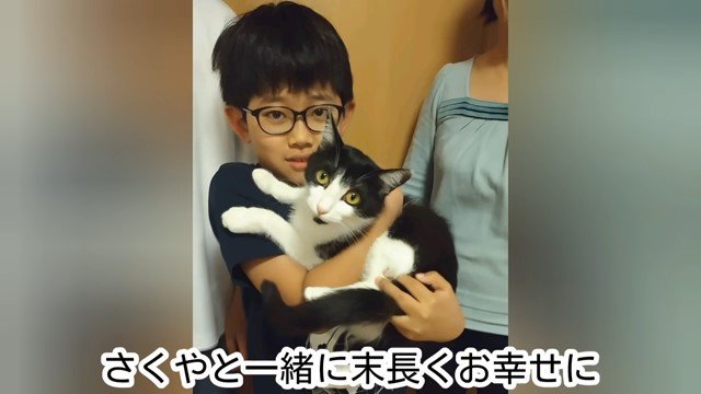 猫を抱く少年