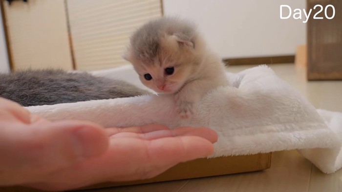 目の前に手のひらを