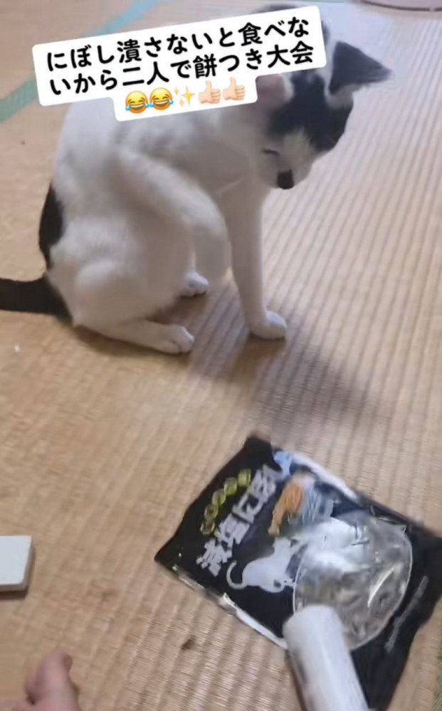 煮干しを麺棒で叩く