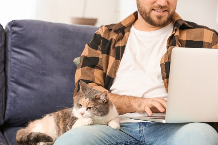 男性にくっつく猫