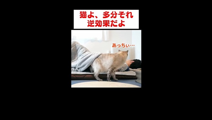 あっちぃ…