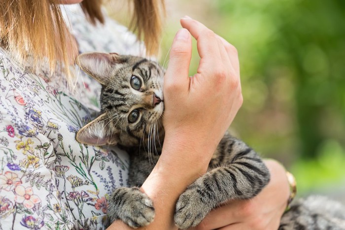 飼い主に抱かれて手に噛み付く猫